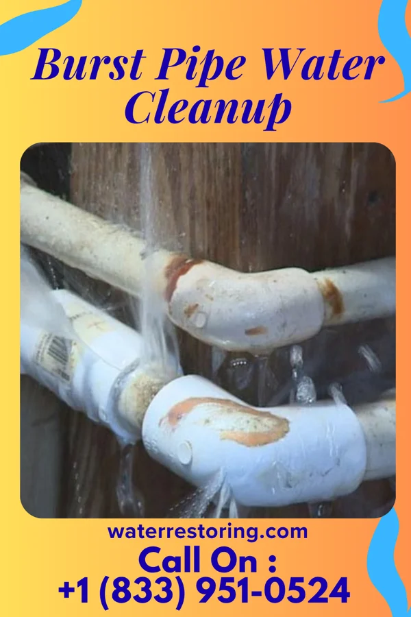 Burst Pipe Water Cleanup in Hurricane, UT
