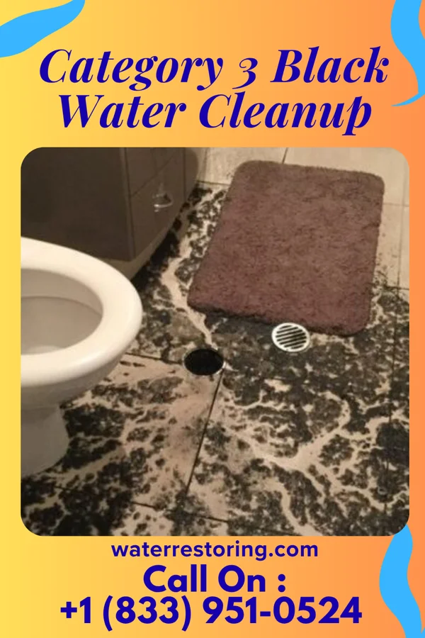 Category 3 Black Water Cleanup in Hurricane, UT
