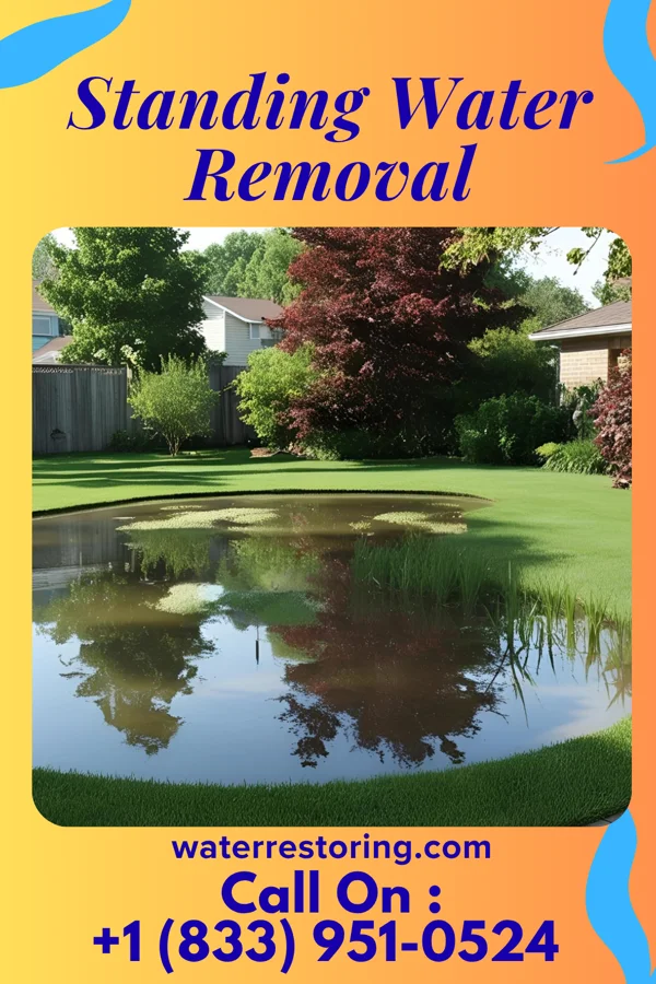 Standing Water Removal in Hurricane, UT
